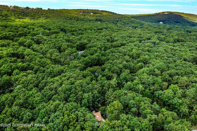 155 Jay Rd, Effort, PA 18330 - photo 43