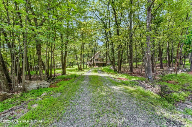155 Jay Rd, Effort, PA 18330 - photo 49