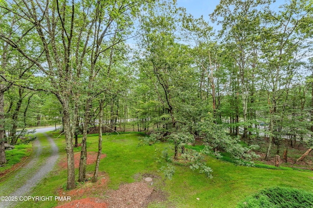 155 Jay Rd, Effort, PA 18330 - photo 31