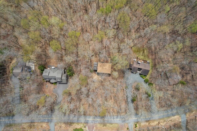 1232 Redwood Ter, Pocono Pines, PA 18350 - aerial view