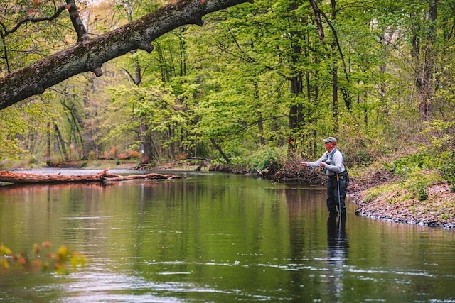 1341 Beaver Valley Rd, Stroudsburg, PA 18360 - water view featuring a heavily wooded area
