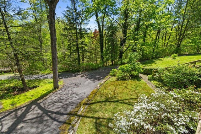 1341 Beaver Valley Rd, Stroudsburg, PA 18360 - surrounding community with a forest view