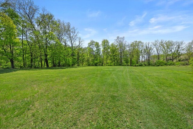 1341 Beaver Valley Rd, Stroudsburg, PA 18360 - view of green lawn