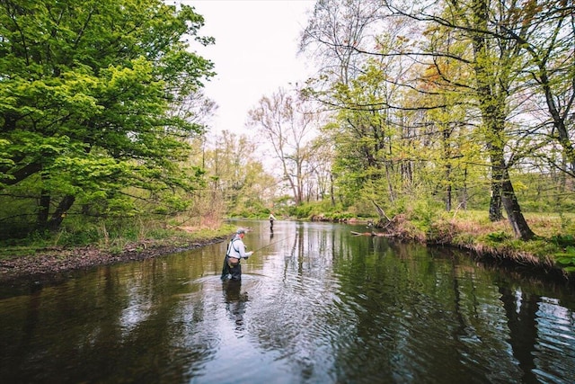 1341 Beaver Valley Rd, Stroudsburg, PA 18360 - water view with a heavily wooded area