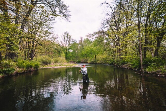1341 Beaver Valley Rd, Stroudsburg, PA 18360 - water view featuring a heavily wooded area