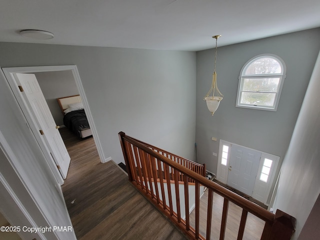 staircase with wood-type flooring