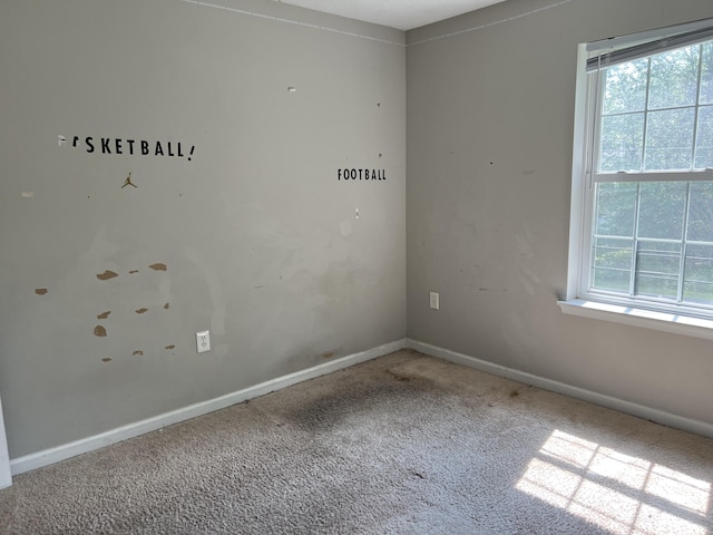 1209 Fern Dr, Pocono Summit, PA 18346 - carpeted empty room featuring baseboards