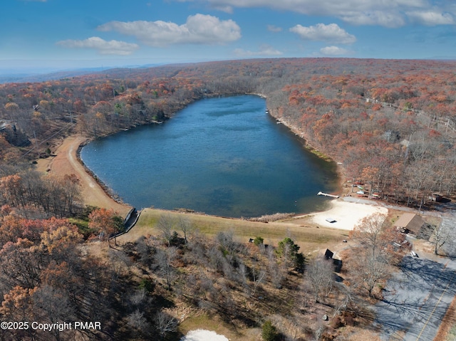 bird's eye view featuring a water view and a wooded view