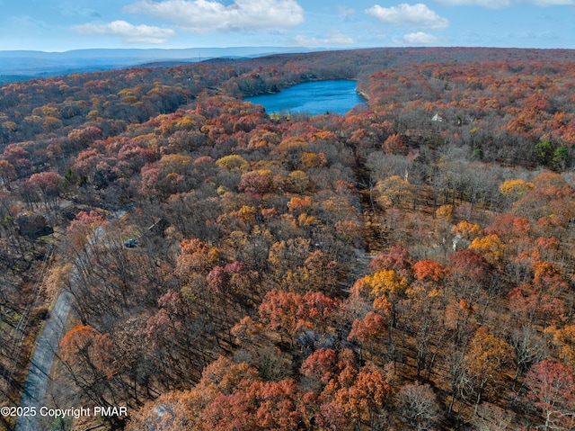 birds eye view of property with a water view and a wooded view