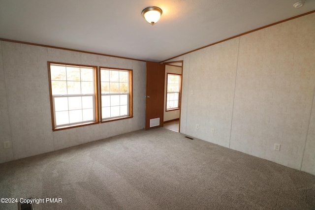 carpeted empty room featuring a healthy amount of sunlight, crown molding, and visible vents