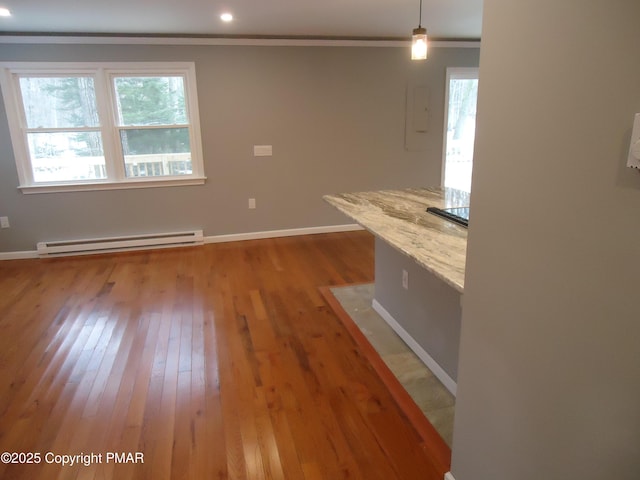 interior space with a healthy amount of sunlight, wood-type flooring, ornamental molding, and a baseboard heating unit