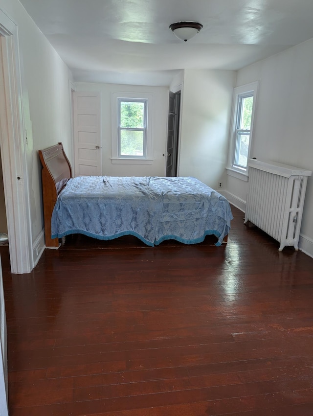 1105 Rte 390, Cresco, PA 18326 - bedroom featuring radiator, dark wood finished floors, and multiple windows