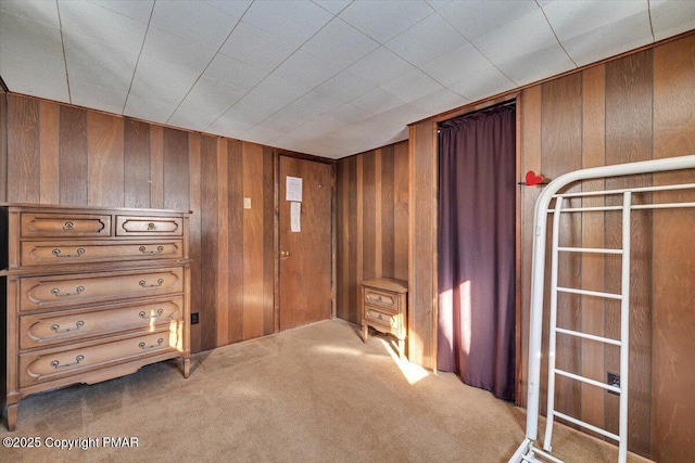 interior space with wood walls and carpet flooring