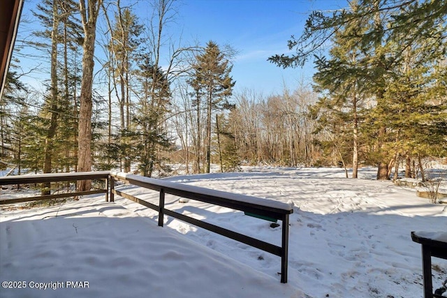 view of yard covered in snow