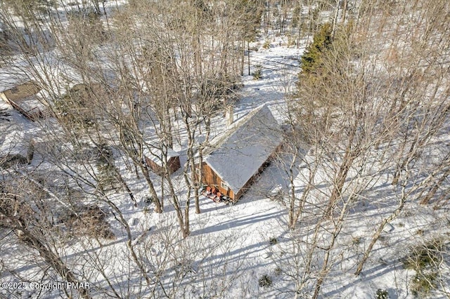 view of snowy aerial view