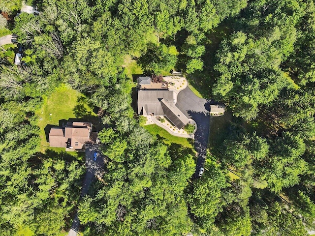 246 Fish Hill Rd, Tannersville, PA 18372 - photo 73