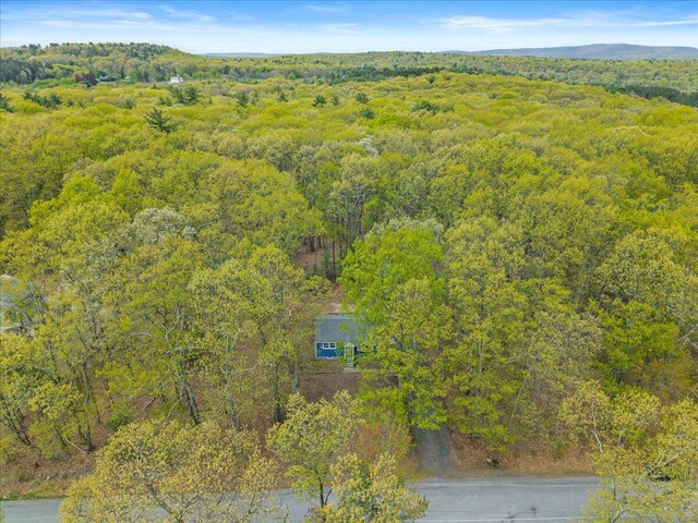 34 Walbert Dr, Stroudsburg, PA 18360 - photo 30
