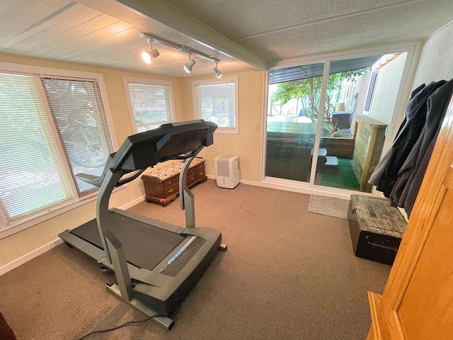 25 Cobblewood Dr, Mount Pocono, PA 18344 - workout room featuring rail lighting, carpet, and plenty of natural light