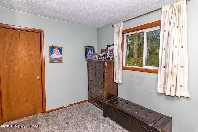 bedroom featuring baseboards, carpet floors, and a textured ceiling