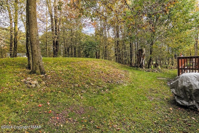 view of yard featuring a forest view