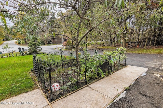 view of yard featuring a garden