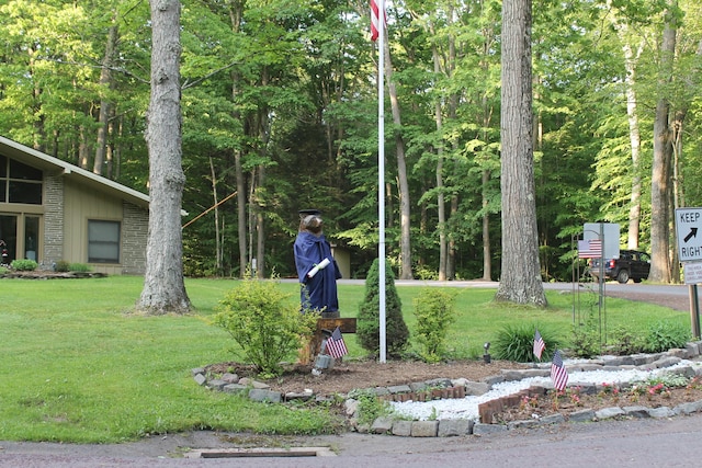 view of property's community with a yard