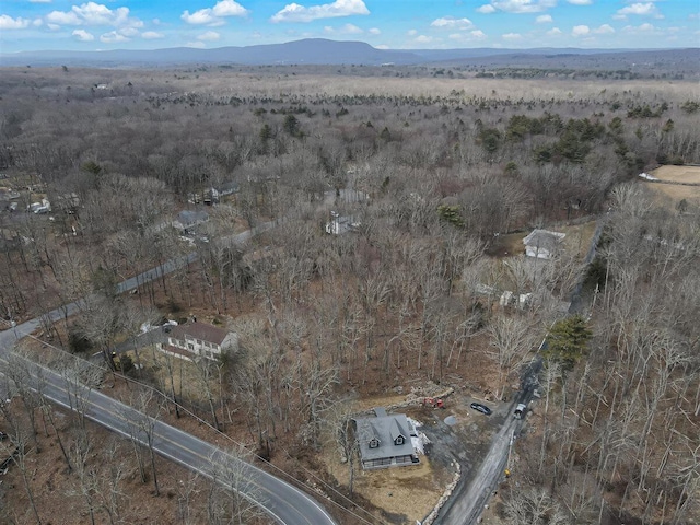 drone / aerial view featuring a mountain view