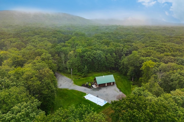 65 Poho Cir, Lehighton, PA 18235 - view of subject property featuring a forest