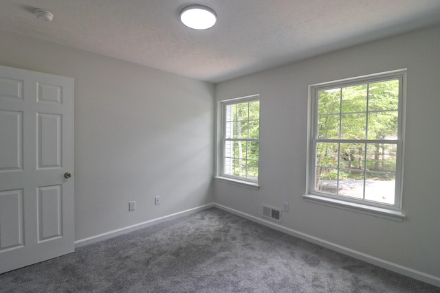8305 Utopia Ln, East Stroudsburg, PA 18302 - unfurnished room with carpet flooring, baseboards, and a textured ceiling