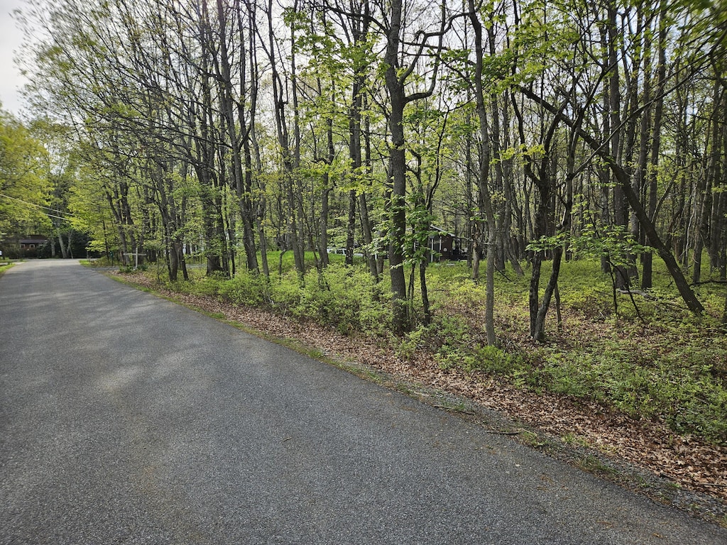 Berry Ln, Jim Thorpe, PA 18229