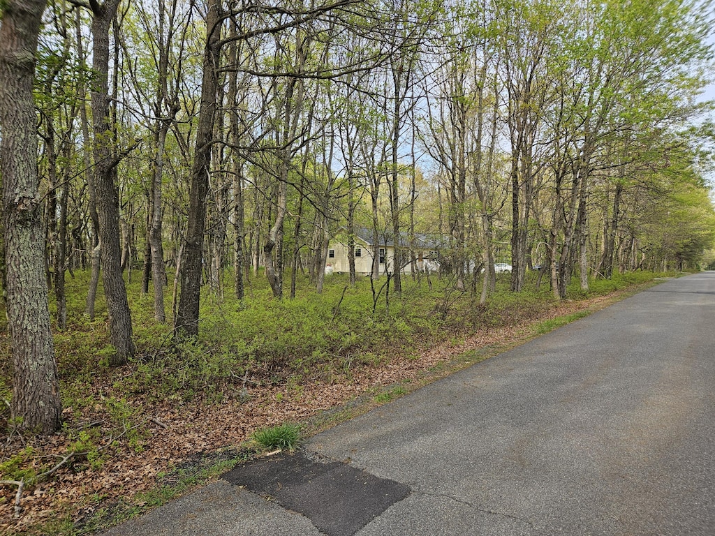 Berry Ln, Jim Thorpe, PA 18229