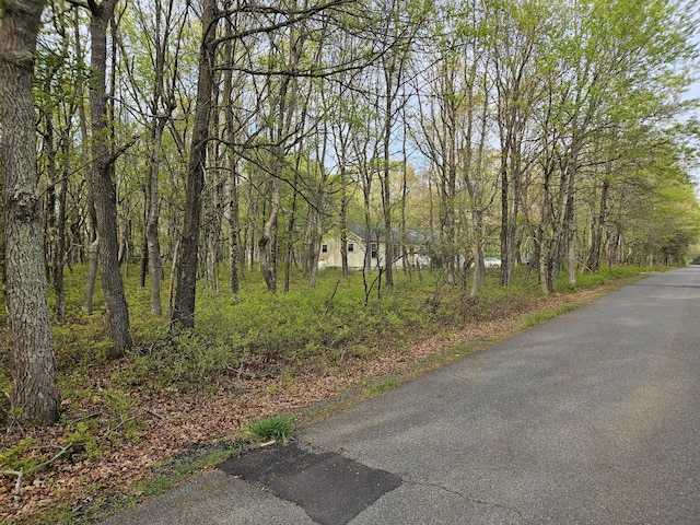 Berry Ln, Jim Thorpe, PA 18229