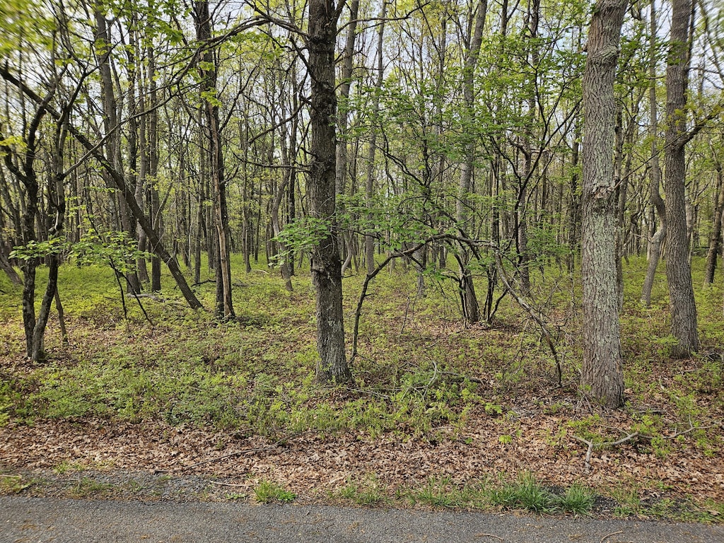 Berry Ln, Jim Thorpe, PA 18229