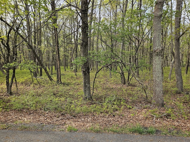 Berry Ln, Jim Thorpe, PA 18229