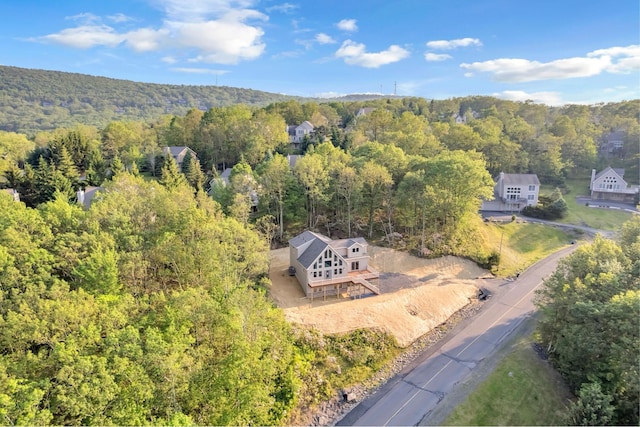 2217 Camelback Dr, Tannersville, PA 18372 - photo 43