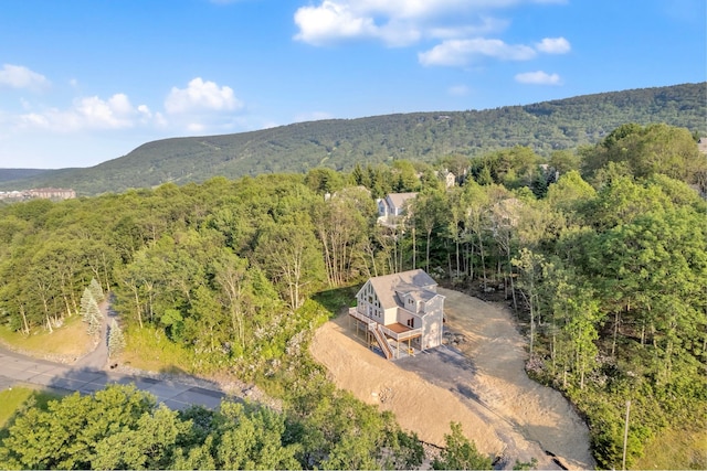 2217 Camelback Dr, Tannersville, PA 18372 - photo 41