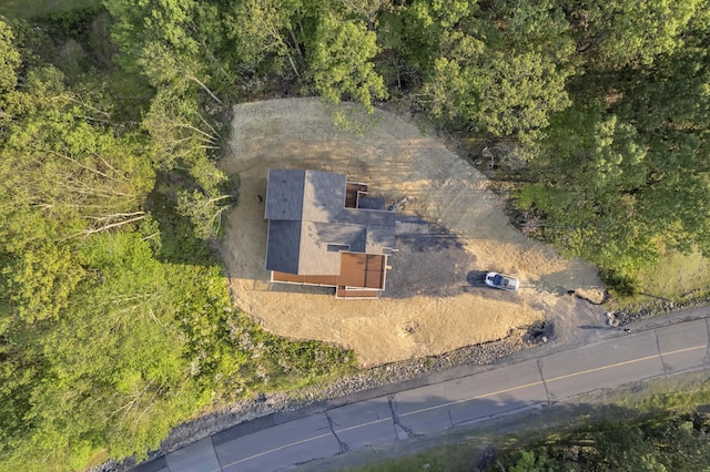 2217 Camelback Dr, Tannersville, PA 18372 - photo 52