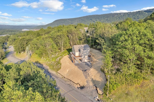 2217 Camelback Dr, Tannersville, PA 18372 - photo 40