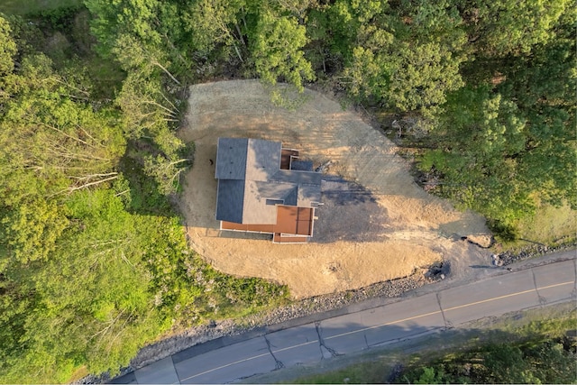 2217 Camelback Dr, Tannersville, PA 18372 - photo 27