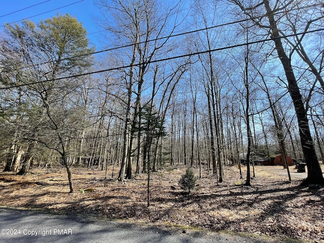 B16HF Tanglewood Dr, Albrightsville, PA 18210
