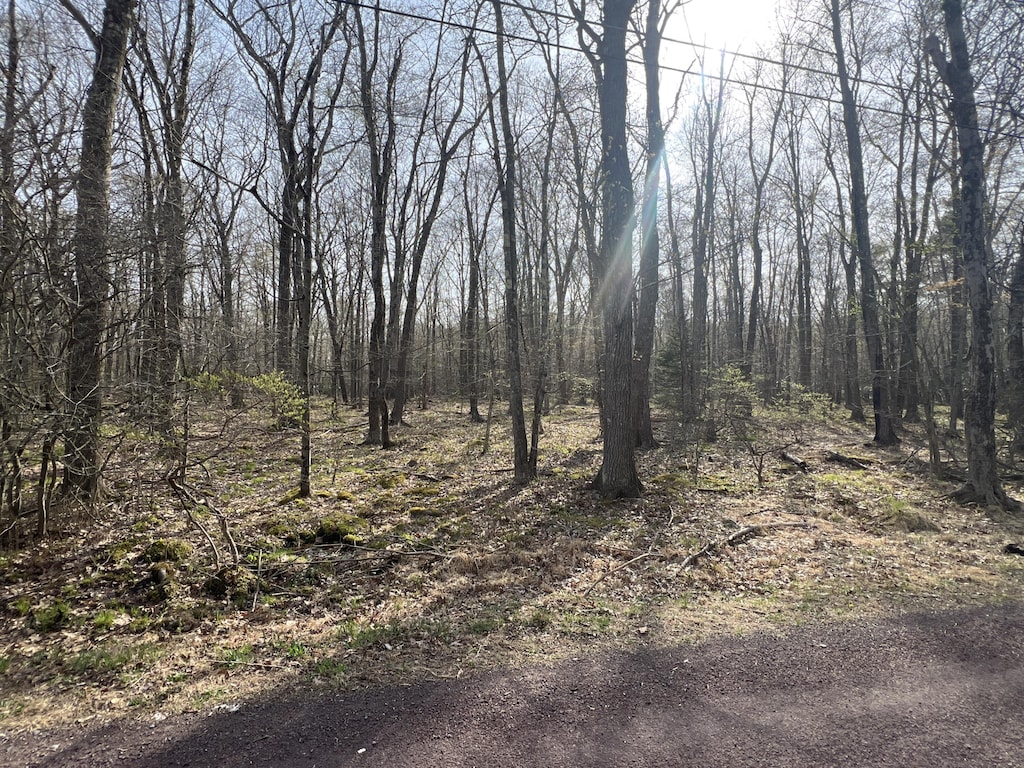 LOT1010 Beaver Run, Pocono Lake, PA 18347