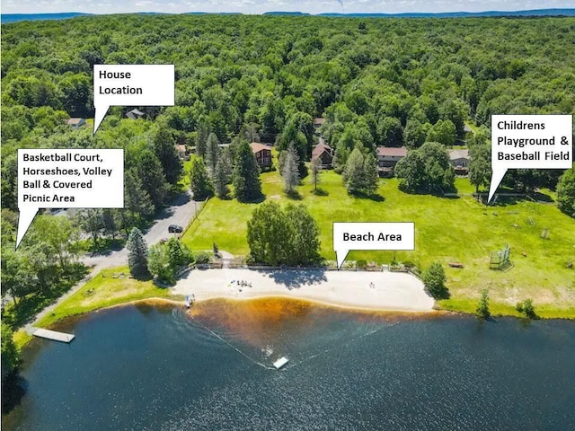98 Black Bear Pass, White Haven, PA 18661 - aerial view of a forest and a large body of water