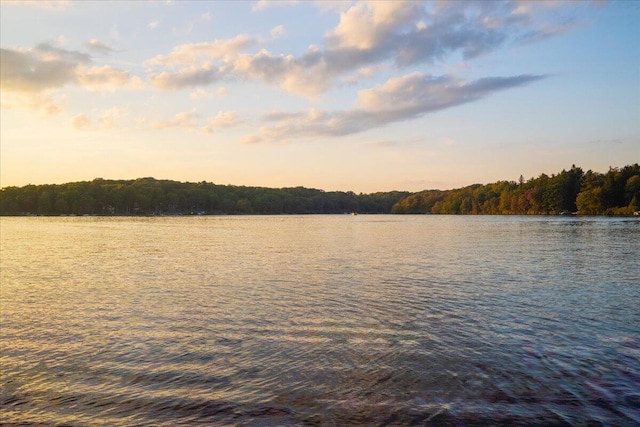 63 Pineknoll Dr, Lake Harmony, PA 18624 - photo 43