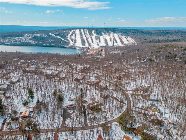 63 Pineknoll Dr, Lake Harmony, PA 18624 - photo 41