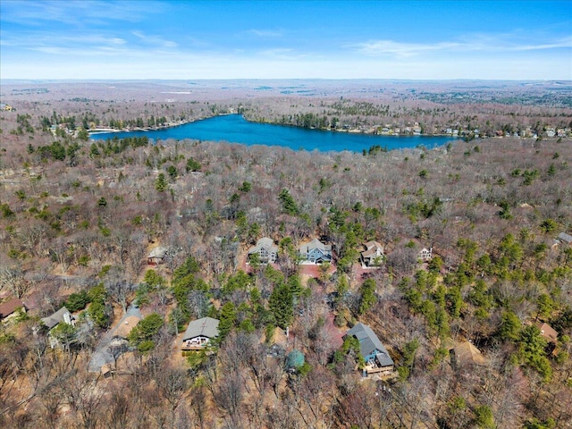 63 Pineknoll Dr, Lake Harmony, PA 18624 - photo 24