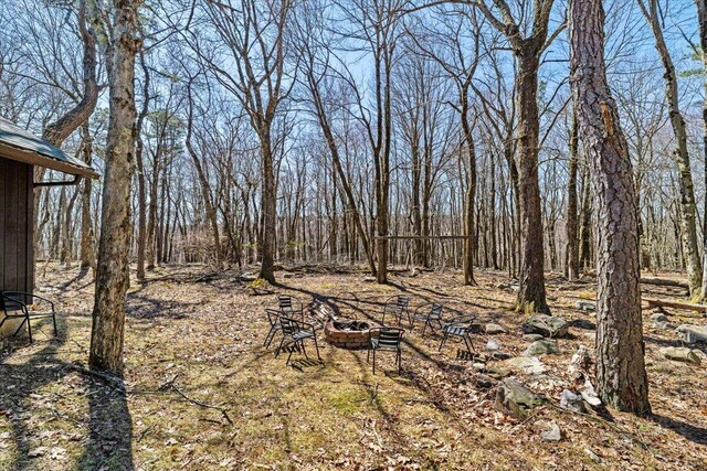 63 Pineknoll Dr, Lake Harmony, PA 18624 - photo 29