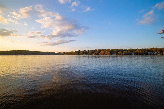 63 Pineknoll Dr, Lake Harmony, PA 18624 - photo 44