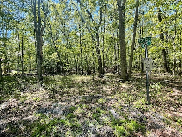 A309 Poplar Dr, Jim Thorpe, PA 18229