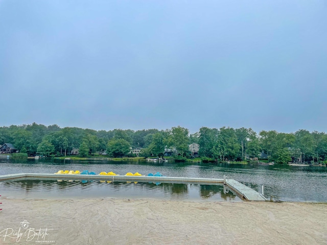 8066 Red Squirrel Dr, Tobyhanna, PA 18466 - water view