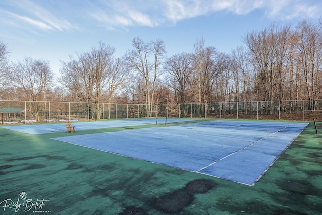 8066 Red Squirrel Dr, Tobyhanna, PA 18466 - view of sport court with fence